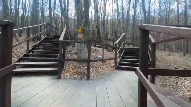 Водопад Джур-Джур