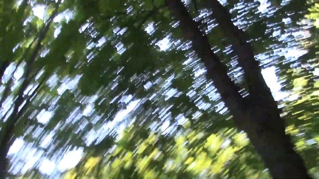 КЛЁВЫЙ ЛЕТНИЙ ВЕЧЕР С ПРОРОКОМ САНБОЕМ смотреть онлайн