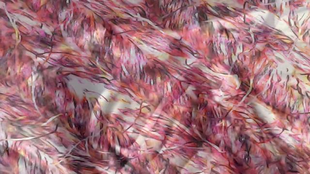 Как выглядят ткани под микроскопом. Часть 1 смотреть онлайн