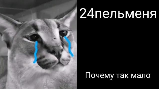 Сколько шльопа сьел пельменей ? смотреть онлайн