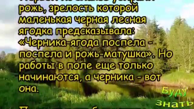 Народные приметы на 21 июля 2021 года смотреть онлайн