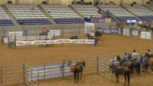 Team Penning - 10HC Set 4 - 2019 USTPA Panhandle Pen & Sort смотреть онлайн