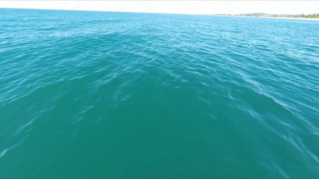 Полет над морем смотреть онлайн