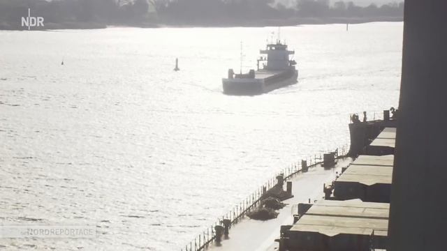 Hinter den Kulissen des Weserhafens: Schiffe, Stapler, spezielle Ladung | Die Nordreportage | NDR D смотреть онлайн