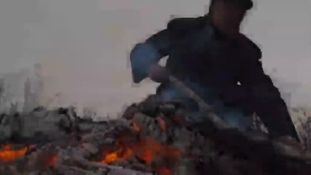 Далашпа даан смотреть онлайн