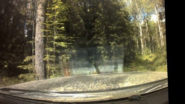 Шимозеро.mpg