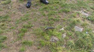 Рыбалка на сига в Северной Карелии.