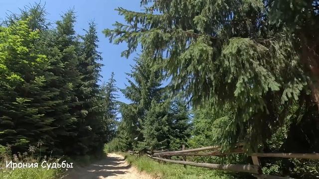 - Прощая, я встретил другую! - муж написал смс и бросил, но спустя время решил вернуться, но... смотреть онлайн