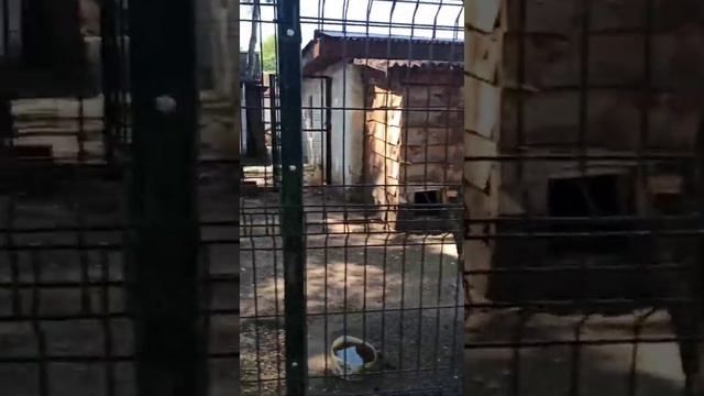 Влог: День медика, Свадьба, Дача смотреть онлайн