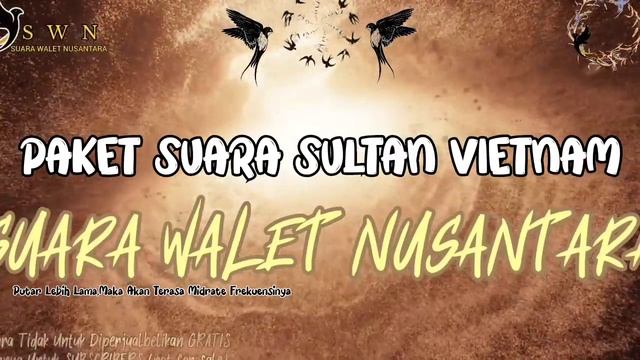 PAKET SUARA SULTAN VIETNAM | Suara Walet Terbaru смотреть онлайн