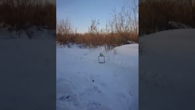 Взрыв Капусты Петардой смотреть онлайн