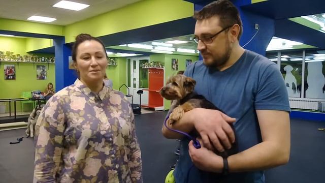 Махровская ОКД дрессировка собак смотреть онлайн