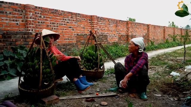 Harvest Bananas On The Farm - Go to the Highland Market to sell, Duck Care, Traditional Cooking смотреть онлайн