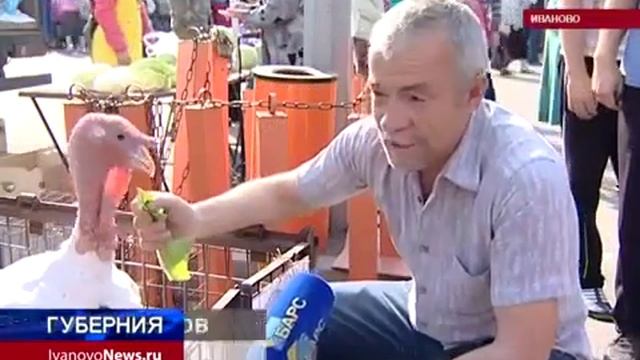 Индюки тяжелого кросса БИГ 6 Хайбрид конвертер смотреть онлайн