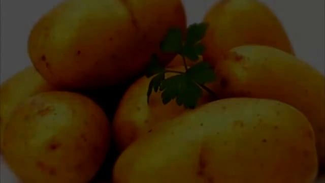 Интересно! Время переваривания пищи в наших желудках смотреть онлайн