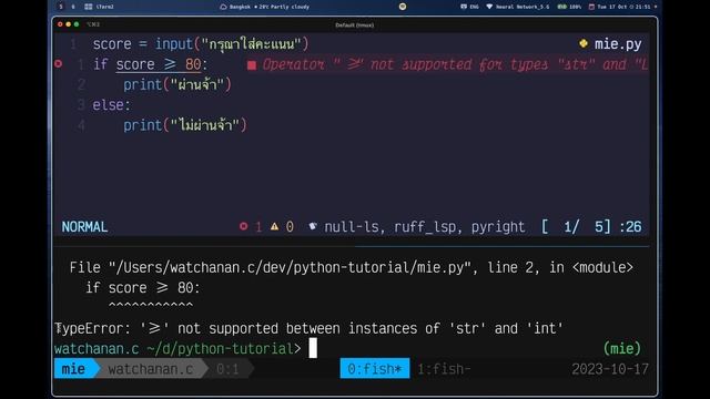 ลุยเขียนโปรแกรม Python ด่วน ๆ print, input, ตัวแปร, เงื่อนไข if-else смотреть онлайн