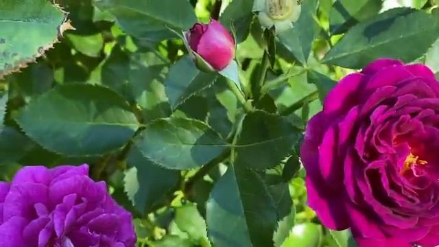 Мода и стиль