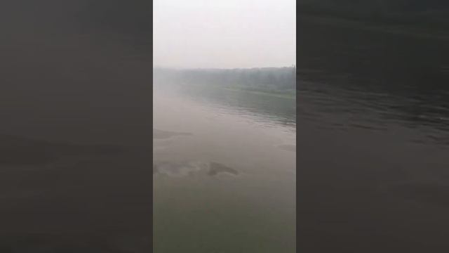 Река Лена. Топливные отходы смотреть онлайн