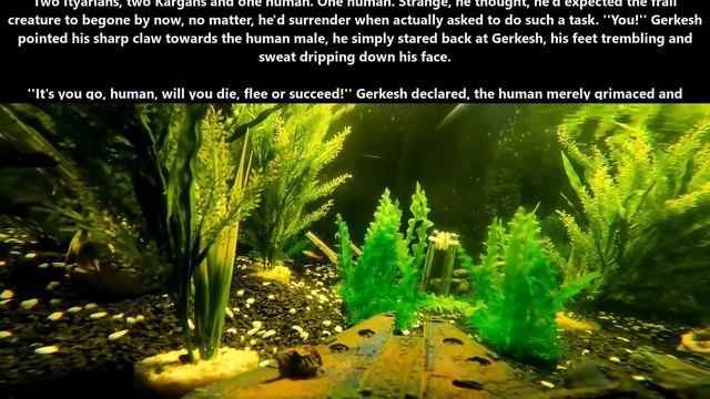 True courage & Human Medics are Scary : Humans Chase Death | HFY | 1809 | Humans are space orcs смотреть онлайн