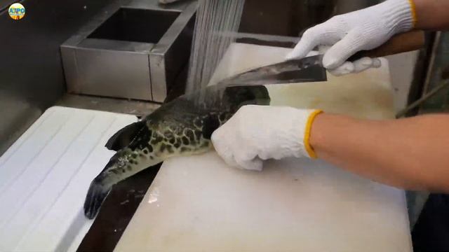 Все о Японии. СМЕРТЕЛЬНЫЙ УЖИН ИГЛОБРЮХОМ смотреть онлайн