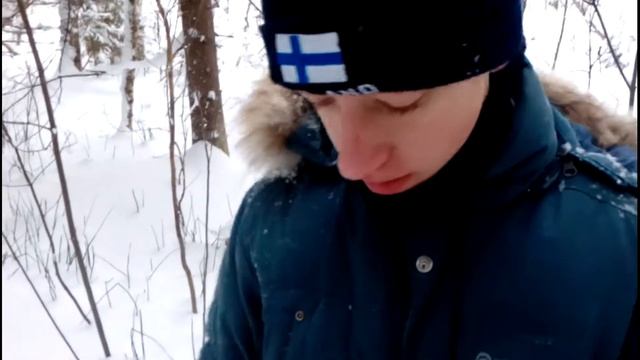 Кормление диких лис смотреть онлайн