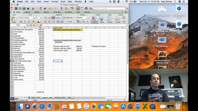 Ball Python Breeder Finances. What does it cost to get started?? смотреть онлайн