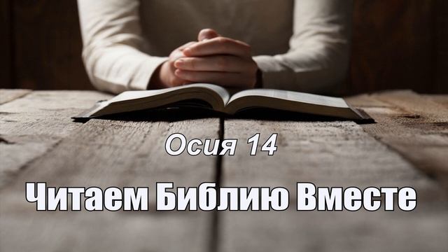 День 321 (Неем 4; Ос 14; 1 Фес 3; 1 Фес 4) смотреть онлайн