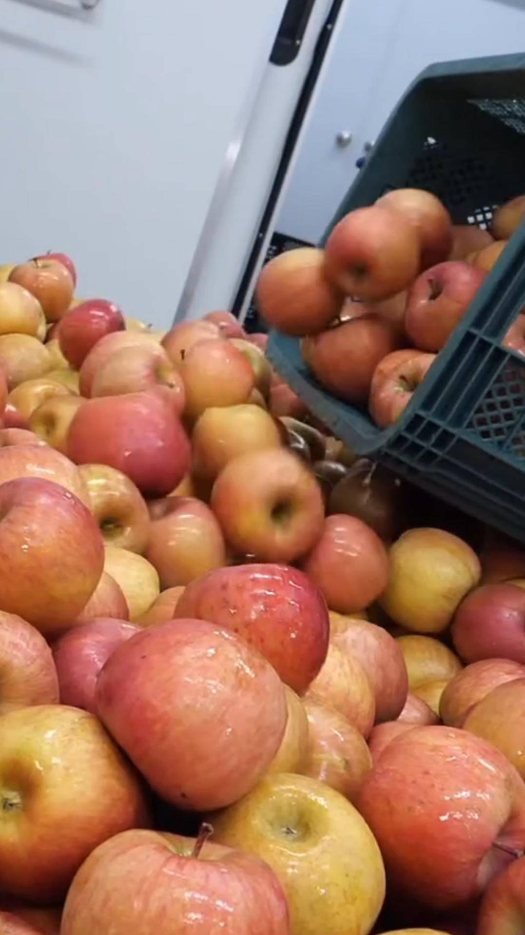 Изготовление яблочного сока #shorts #сок #яблоки смотреть онлайн