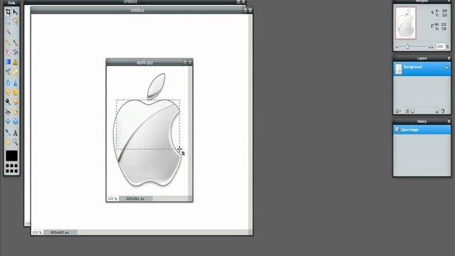 Lesson 1: How To Crop A Photo On PhotoShop Online