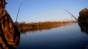 Судак на джиг. Р. Дон, Воронежская обл. Крутая рыбалка на спиннинг осенью.