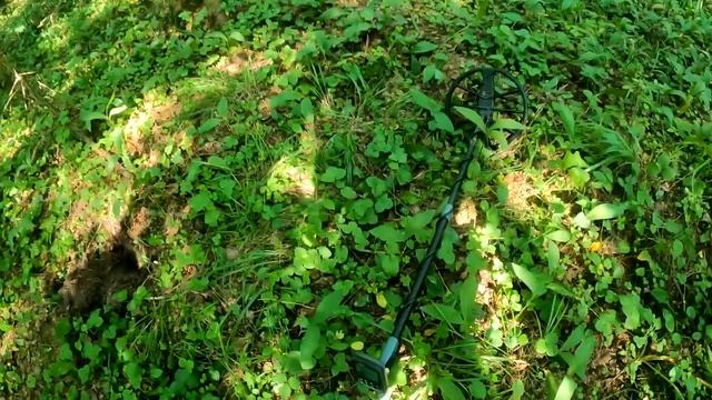 Я был напуган этой находкой в лесу! Но не ожидал, что будет внутри! смотреть онлайн