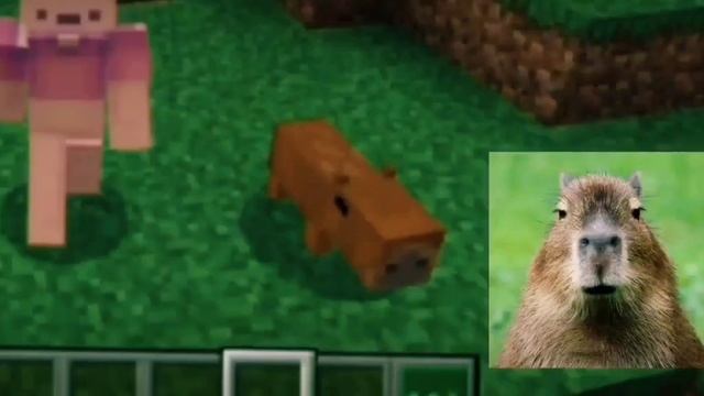 Capybara mod Minecraft Bedrock 1.19 смотреть онлайн