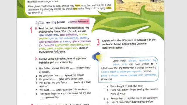 Spotlight-8 (78 страница) смотреть онлайн