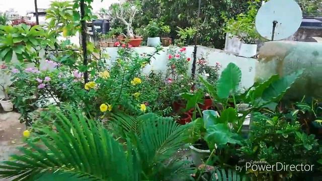 सर्दियों की तैयारी , My Plans For This Winter.