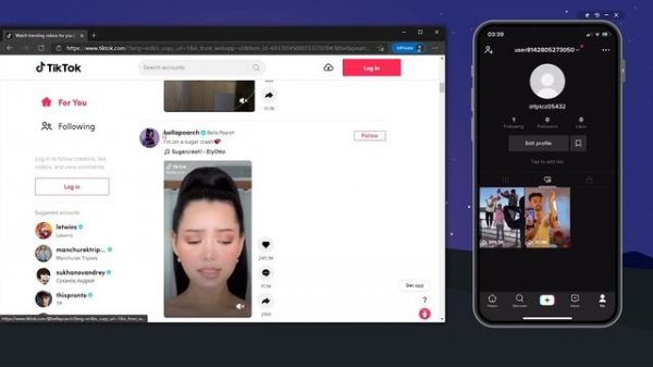 TikTok API 2021 | PRIVATE REST API