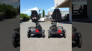 Zappy Three wheel electric scooter Zappy , Scooter , Elektro 3 Rad 48V 500W