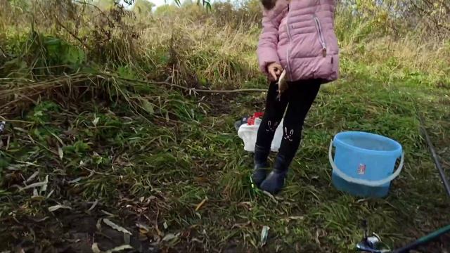 ЗАБИЛИ НА РАБОТУ и средь бела дня ПОЕХАЛИ ЗА КАРАСЯМИ. На что клюёт карась в сентябре. смотреть онлайн