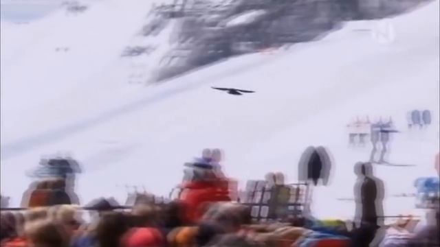 ВОРОНА В ДЕЛЕ! Ворона против ЗМЕИ, крысы. Версус Ворон - птица умеющая разговаривать. смотреть онлайн