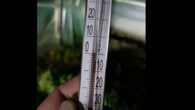 31/20Агроспан не спас от заморозка в балагане. На улице теплее чем в теплице как такое может быть? смотреть онлайн