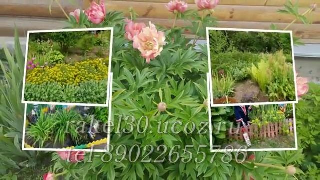 Слайд шоу на 50 лет женщине любимой маме до слез от взрослой дочери смотреть онлайн