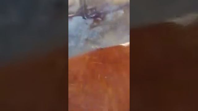 Корова хромает на заднюю ногу .. смотреть онлайн