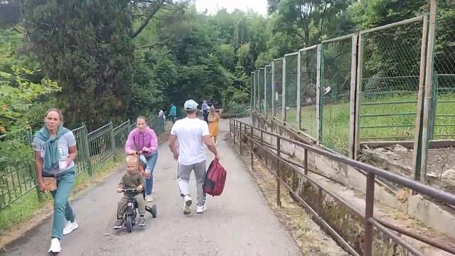 Сочи. Парк Дендрарий. 🤗Всем приятного просмотра 😊👍 смотреть онлайн