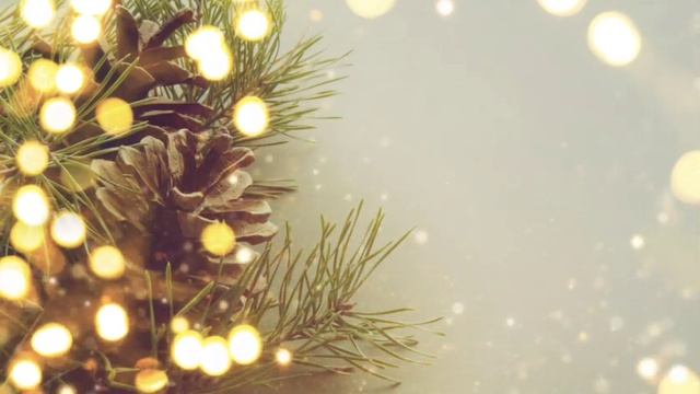 Beautiful pine - Free Motion Graphics - Moving Background Loop - Xmas смотреть онлайн
