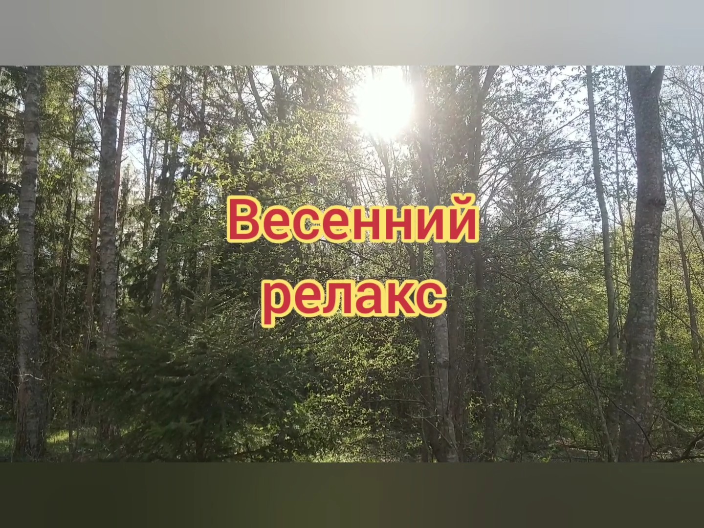Весенний релакс.