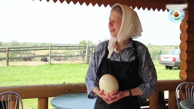 Страусиная ферма у стен женского монастыря смотреть онлайн