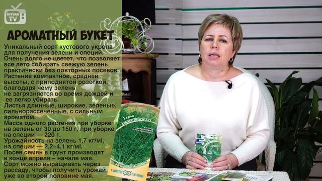 Семена укропа ? Выбираем лучшие сорта укропа от агрофирмы ГАВРИШ смотреть онлайн
