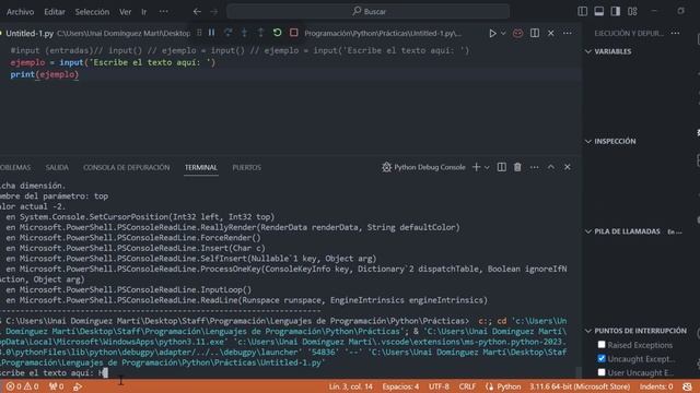 Como Usar Los Input() смотреть онлайн