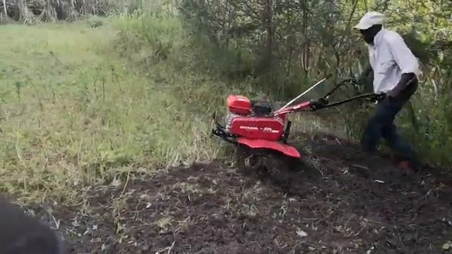 Honda FQ650 Tiller machine in Nigeria смотреть онлайн