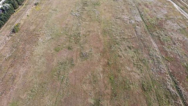 щелково смотреть онлайн