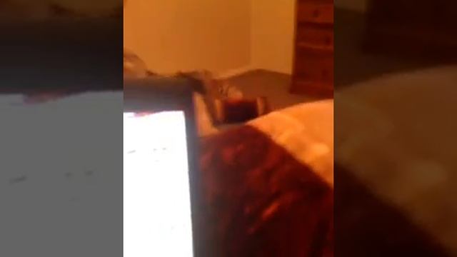 Club Penguin free Herbert's Revenge Codes!! смотреть онлайн